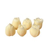 Beeswax Blooming Tulips - Set of 6