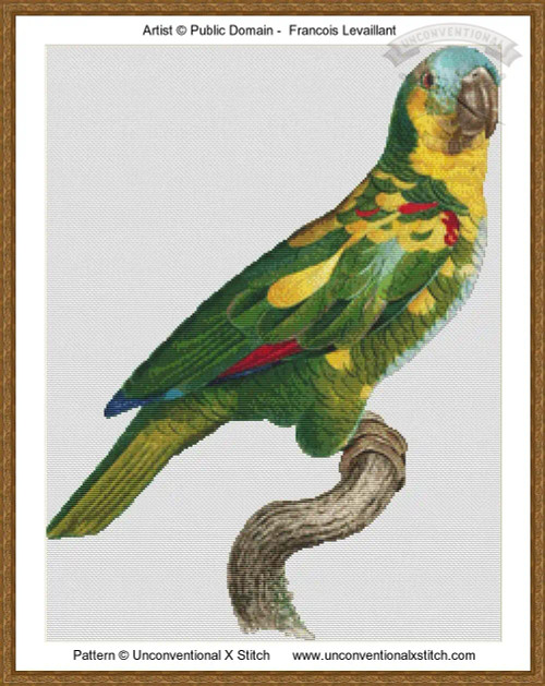  cross stitch pattern of a turquoise fronted amazon parrot standing on a branch