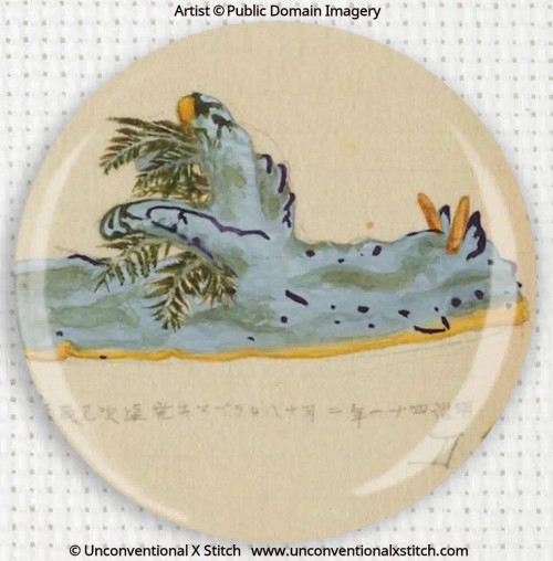Nudibranch 2 needle minder 