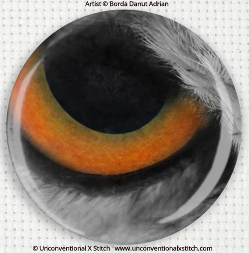 Eye of Prey needle minder - Borda Danut Adrian 