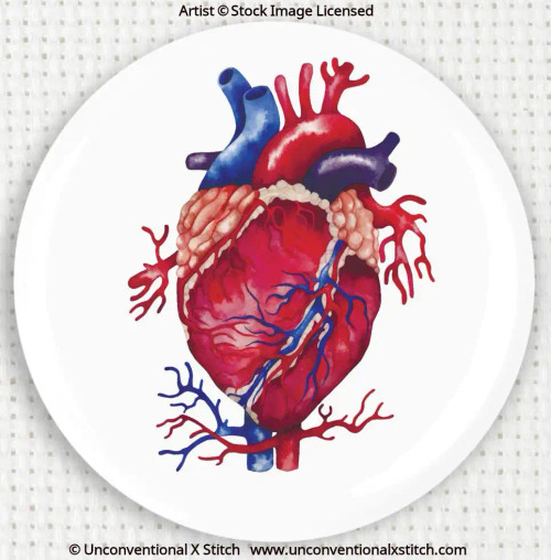 Anatomical Heart needle minder