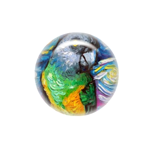 Senegal Parrot needle minder - Aja Trier