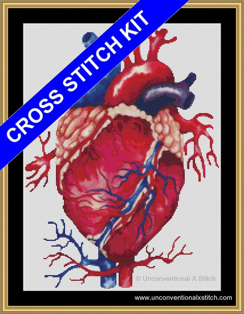Anatomical Heart cross stitch kit