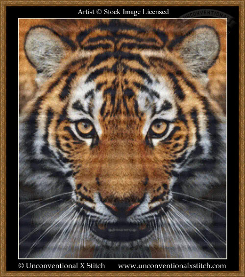 Eye of the Tiger cross stitch pattern