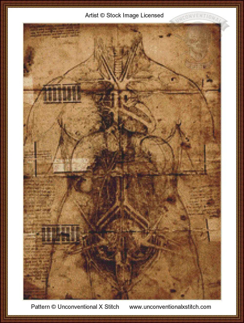 Page of Anatomy cross stitch pattern