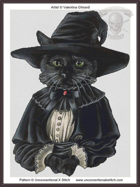 black cat in witches outfit