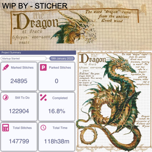 Dragon Field Note cross stitch pattern