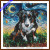 Australian Shepherd cross stitch kit