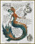 Cross-stitch pattern of an artistic depiction of a mermaid labelled as the "Deep Sea Mermaid." The mermaid has a humanoid upper body with an elaborate fin extending from her waist, displaying a mixture of vibrant colors including orange, teal, and blue. Her hair flows as if underwater, resembling marine vegetation. A smaller, monochromatic illustration of another mermaid is situated toward the top right corner. Surrounding the main image, various paragraphs of text provide information about the mermaids' characteristics, language, diet, camouflage abilities, and behaviour. An intricate shell design is located at the bottom right.