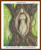 cross stitch pattern of an abstract human figure in a tree trunk with green foliage background