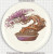 Bonsai Tree needle minder - Irina Vinnik 2025