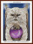 Mystic Persian Cat and Toad cross stitch pattern