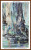 Swamp Gum cross stitch pattern 