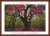 Only the Lonely cross stitch pattern LIMITED EDITION