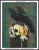 Attempted Murder cross stitch pattern