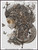 Soma BACKGROUND REMOVED EDITION cross stitch pattern 