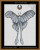 cross stitch pattern of a moon moth with a crescent moon above it