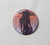 Succubus Christopher Lovell needle minder