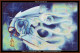 cross stitch pattern of mystical blue dragon holding a glowing lantern against a starry backdrop and auroras