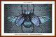 Cross-stitch pattern of an artistic depiction of a beetle-like insect with its wings spread open. The insect is centrally positioned against a textured backg