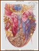 Sirin cross stitch pattern