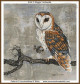 Parley cross stitch pattern