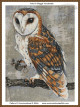 Parley SNIPPET cross stitch pattern
