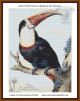 Red Billed Toucan SNIPPET cross stitch pattern