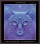 Goddess of the Starry Night SNIPPET cross stitch pattern