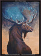 cross stitch pattern of moose with antlers against a starry cosmic background