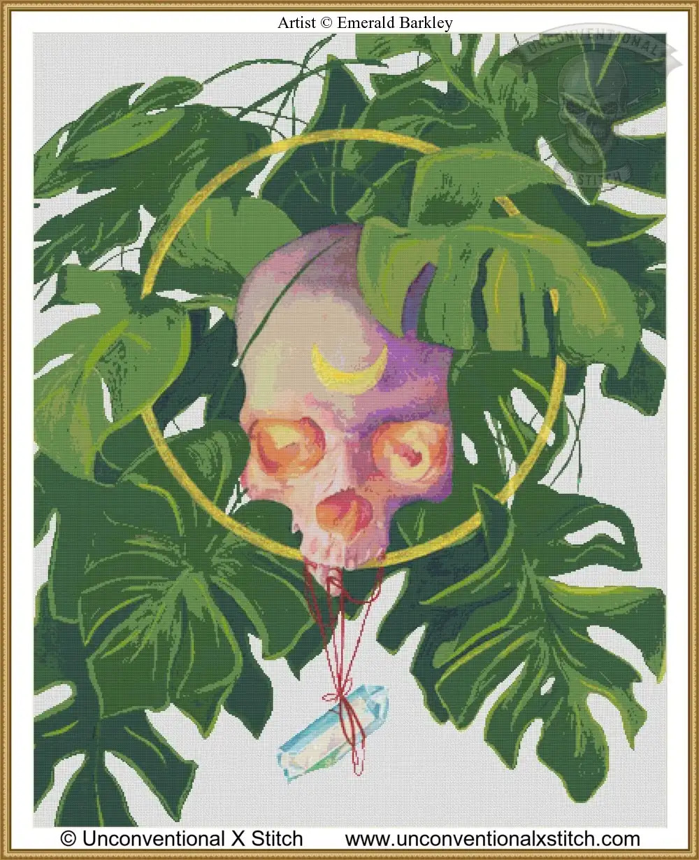 philodendron brandtianum Philodendron Brandtianum  Lost in the Forrest