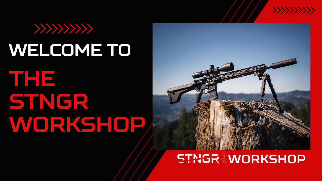 Welcome to the STNGR Workshop