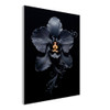Black Noir Orchid Elegance