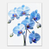 Sky-Kissed Azure Orchid Blue