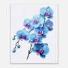 Enchanted Blue Orchid Whispers