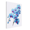 Enchanted Blue Orchid Whispers