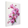 Radiant Pink Orchid Majesty