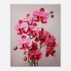 Enthralling Red Orchid Rhapsodya
