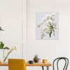 White Orchid Grace