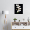 White Orchid Silhouettes