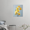 Sunrise Yellow Orchid Aria