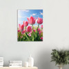 Blossoming Pink Tulip Field