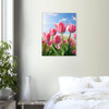 Blossoming Pink Tulip Field