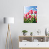 Blossoming Pink Tulip Field