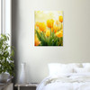 Luminous Sunlit Yellow Tulip