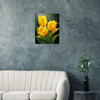 Joyful Sunshower Yellow Tulip