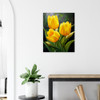 Joyful Sunshower Yellow Tulip