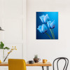 Azure Blue Tulip