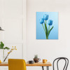 Sky-Blue Tulip Trio