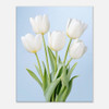 Ethereal White Tulip
